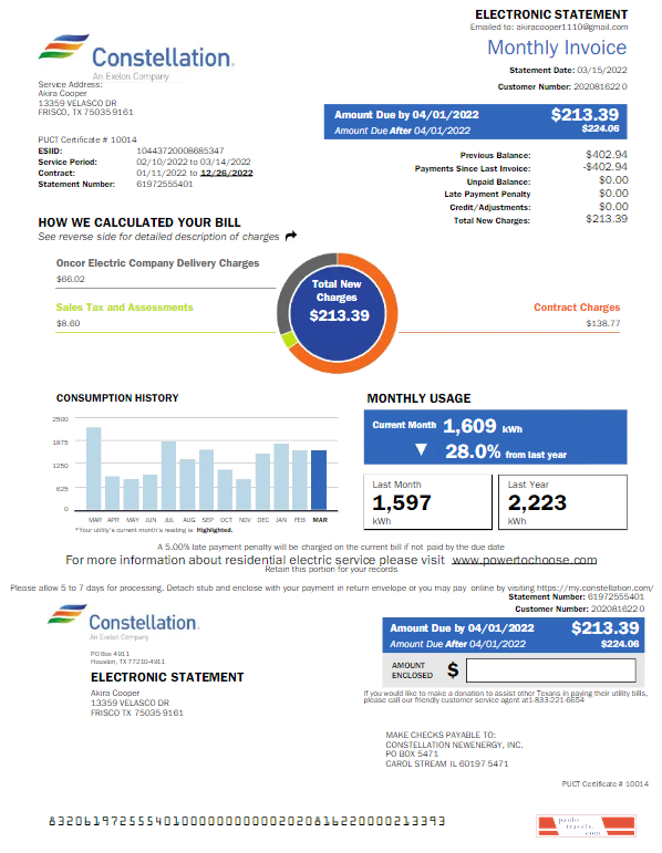 USA CONSTELLATION utility bill Word and PDF template
